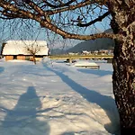 Fruehstueckspension Seerose 3* Weissensee