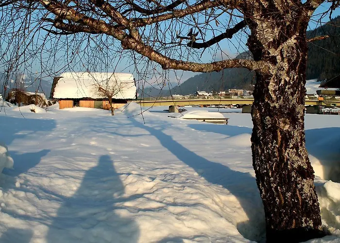 Seerose 3* Weissensee
